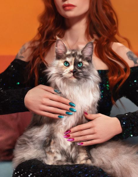 GEL POLISH AI CAT EYE