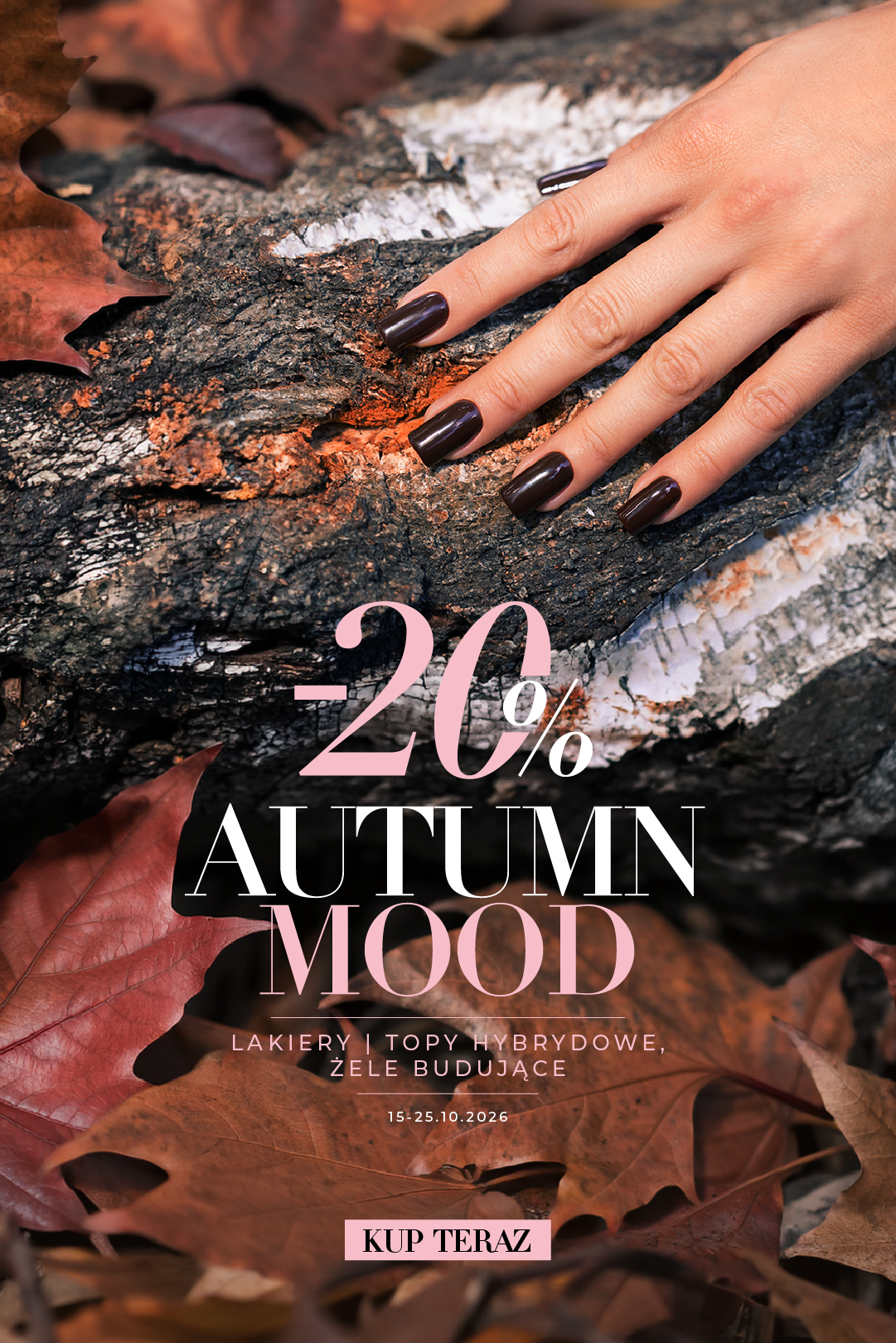 Autumn mood - jesień 2026