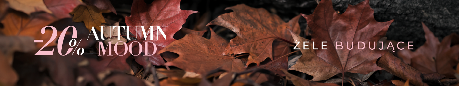 Autumn Mood - 20% na żele budujące